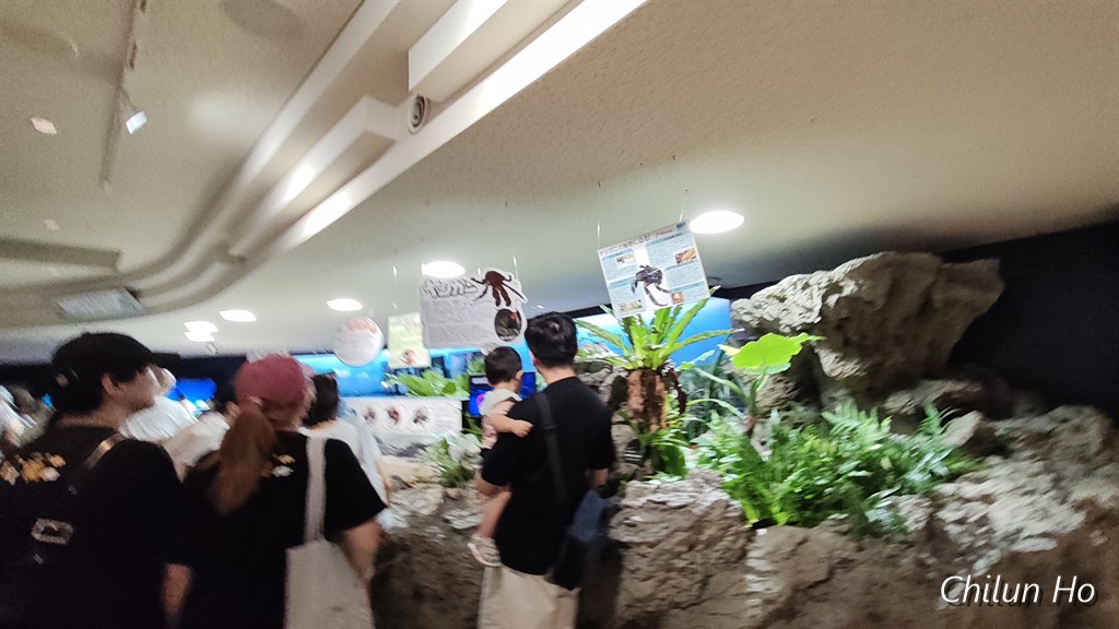 沖縄美ら海水族館
